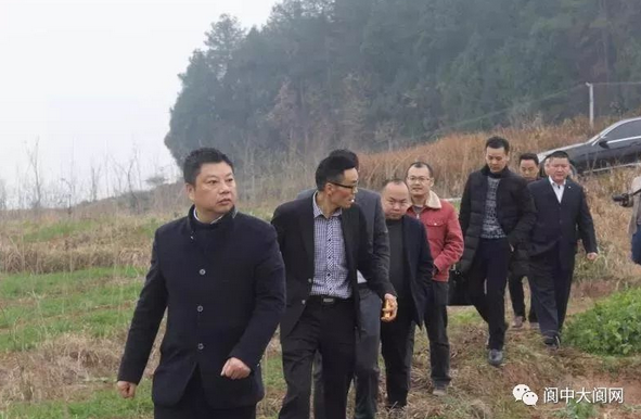 礼至集团智慧生态农场项目在阆中市顺利进行