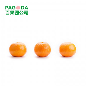 【百果园公司】A级-进口澳洲柑（中）4斤